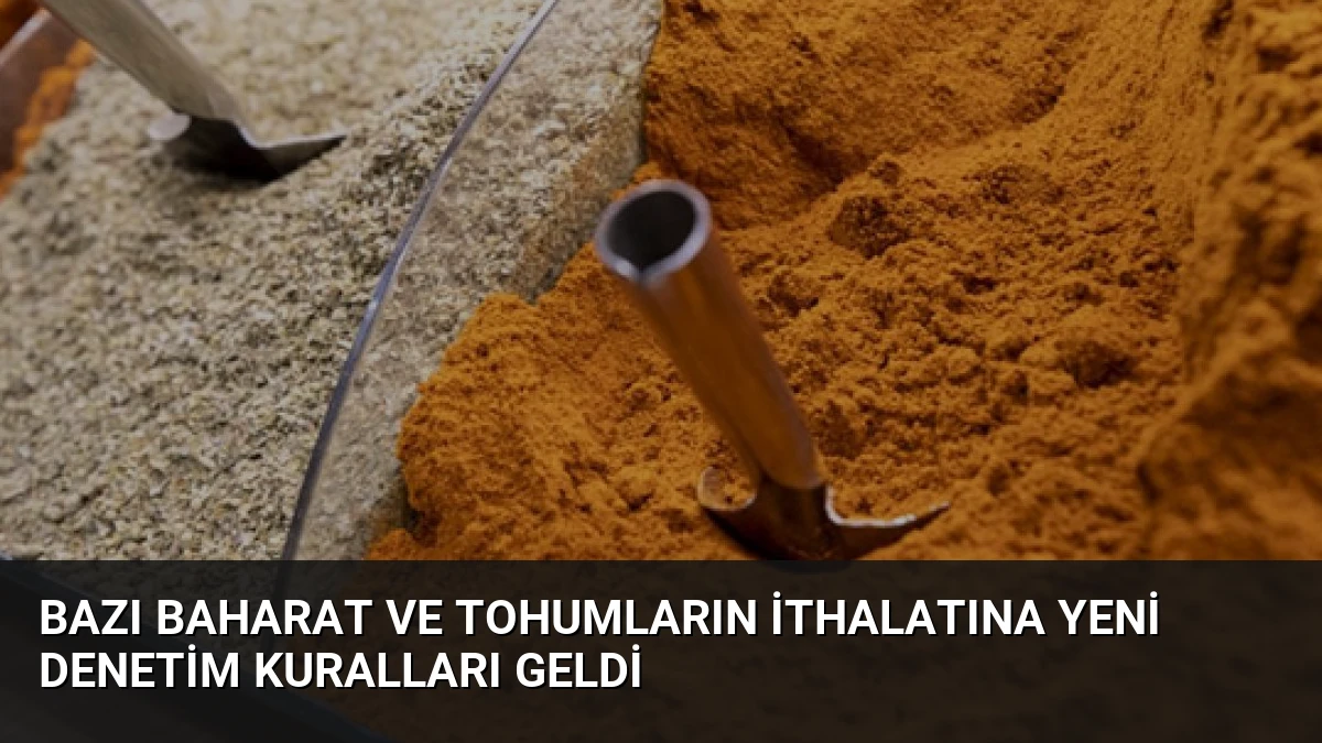 Bazı Baharat ve Tohumların İthalatına Yeni Denetim Kuralları Geldi