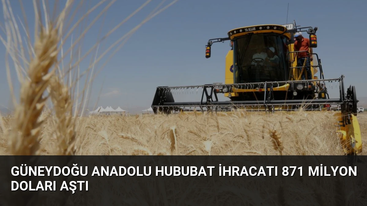Güneydoğu Anadolu Hububat İhracatı 871 Milyon Doları Aştı