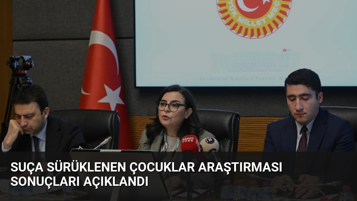 Suça Sürüklenen Çocuklar Araştırması Sonuçları Açıklandı