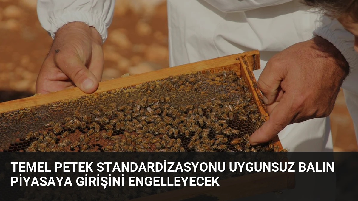 Temel Petek Standardizasyonu Uygunsuz Balın Piyasaya Girişini Engelleyecek