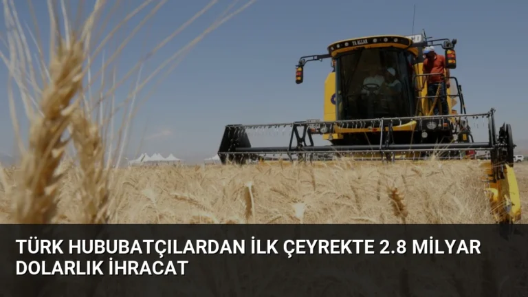 Türk Hububatçılardan İlk Çeyrekte 2.8 Milyar Dolarlık İhracat