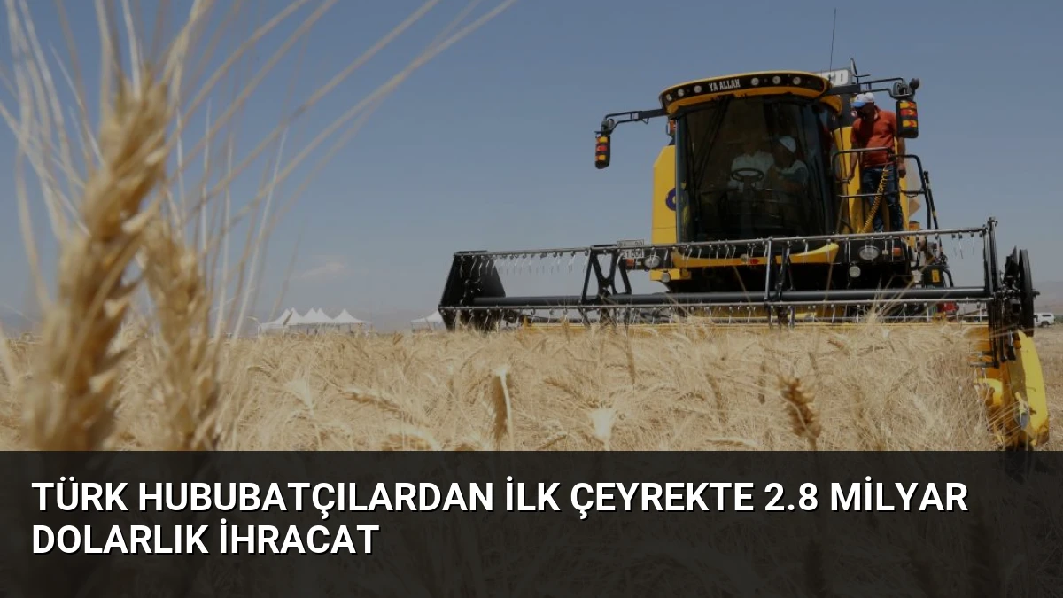 Türk Hububatçılardan İlk Çeyrekte 2.8 Milyar Dolarlık İhracat