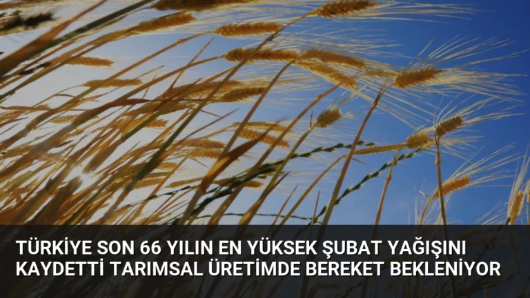 Türkiye Son 66 Yılın En Yüksek Şubat Yağışını Kaydetti Tarımsal Üretimde Bereket Bekleniyor