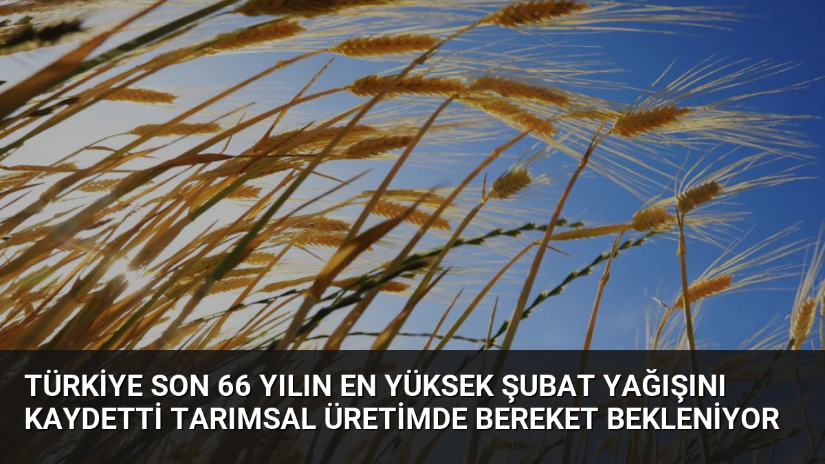 Türkiye Son 66 Yılın En Yüksek Şubat Yağışını Kaydetti Tarımsal Üretimde Bereket Bekleniyor