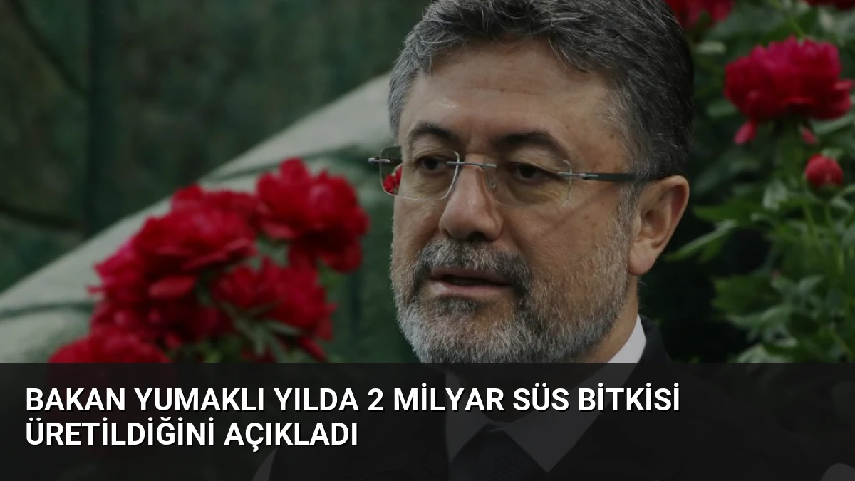 Bakan Yumaklı Yılda 2 Milyar SüS Bitkisi Üretildiğini Açıkladı