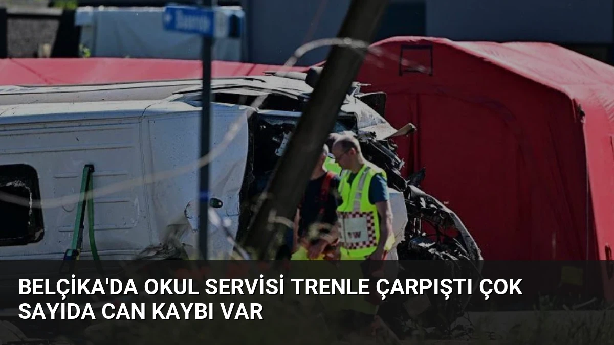 Belçika’da Okul Servisi Trenle Çarpıştı Çok Sayıda Can Kaybı Var
