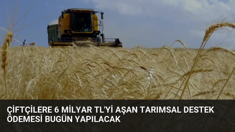 Çiftçilere 6 Milyar TL’yi Aşan Tarımsal Destek Ödemesi Bugün Yapılacak