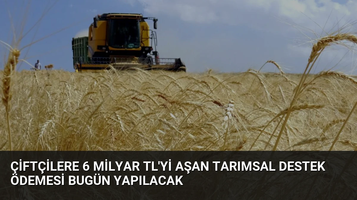 Çiftçilere 6 Milyar TL’yi Aşan Tarımsal Destek Ödemesi Bugün Yapılacak