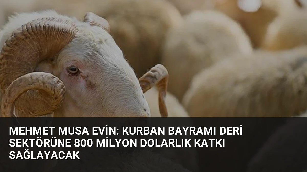 Mehmet Musa Evin: Kurban Bayramı Deri Sektörüne 800 Milyon Dolarlık Katkı Sağlayacak
