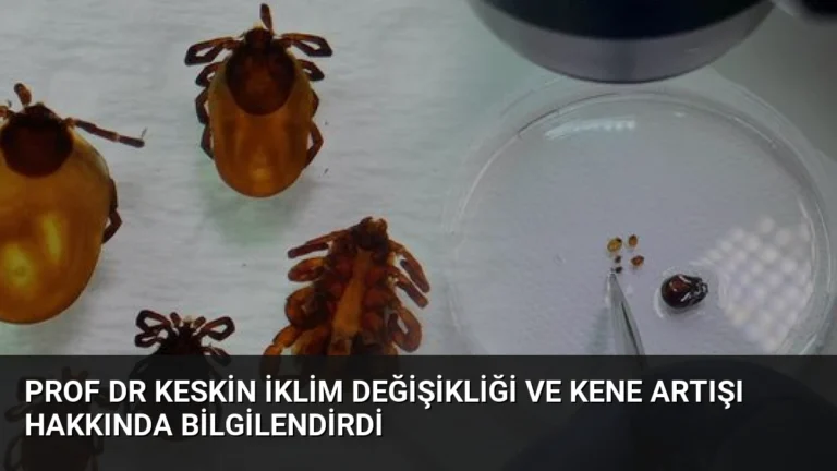 Prof Dr Keskin İklim Değişikliği ve Kene Artışı Hakkında Bilgilendirdi