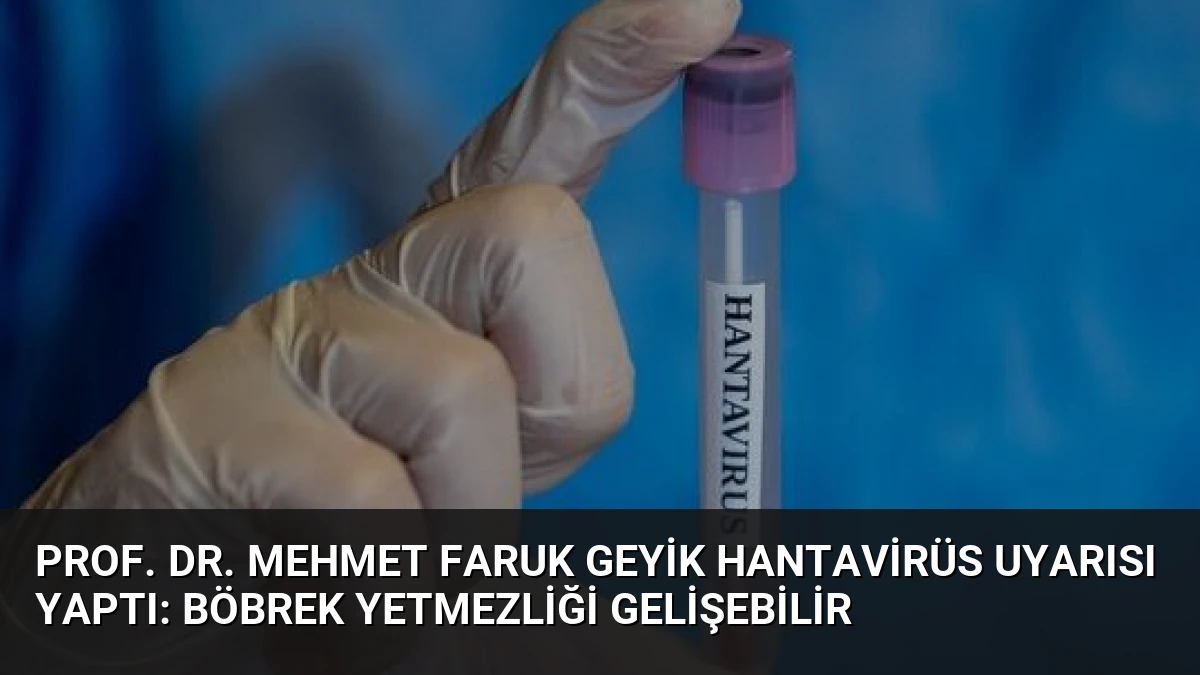 Prof. Dr. Mehmet Faruk Geyik Hantavirüs Uyarısı Yaptı: Böbrek Yetmezliği Gelişebilir