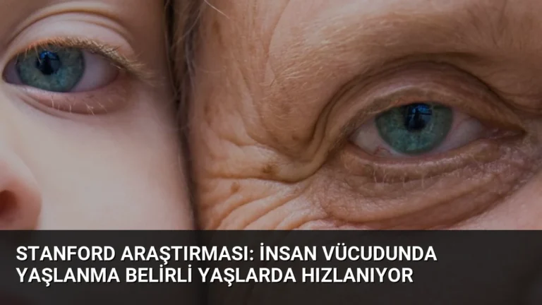 Stanford Araştırması: İnsan Vücudunda Yaşlanma Belirli Yaşlarda Hızlanıyor