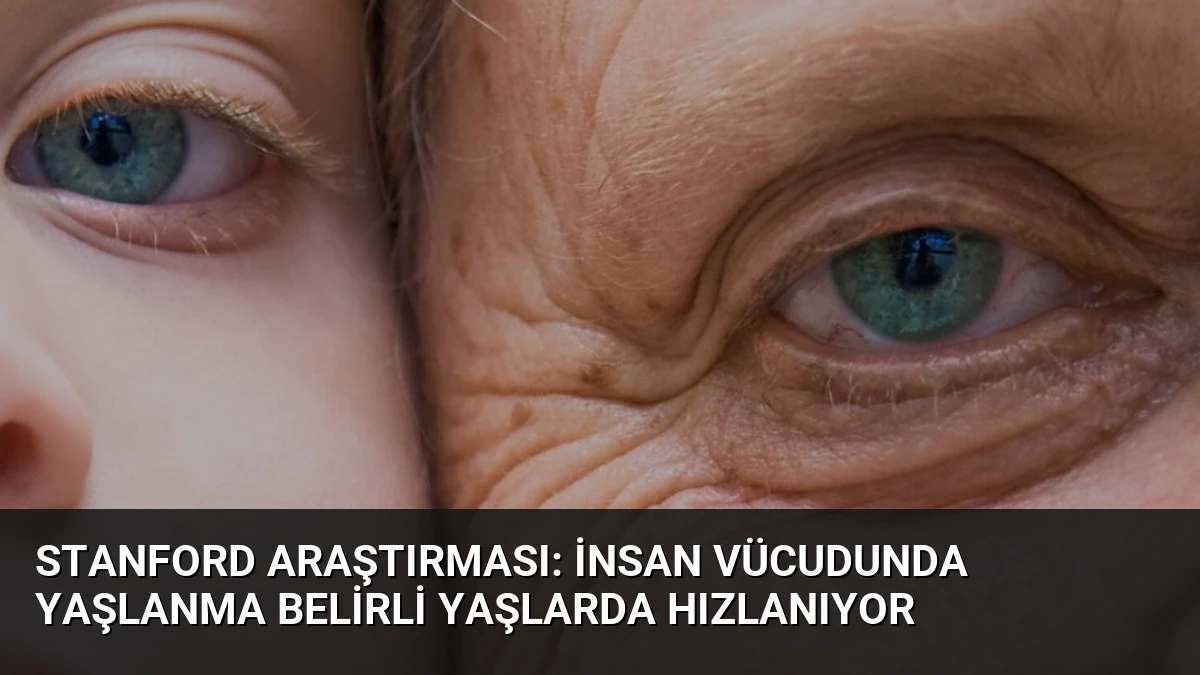 Stanford Araştırması: İnsan Vücudunda Yaşlanma Belirli Yaşlarda Hızlanıyor