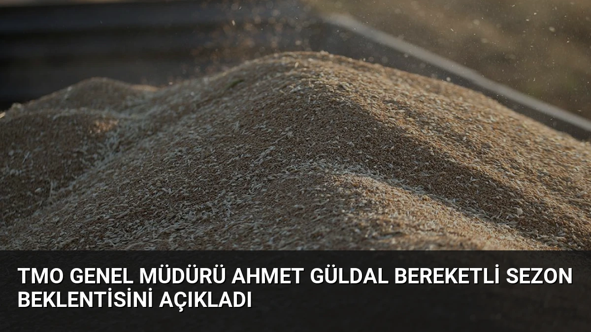 TMO Genel Müdürü Ahmet Güldal Bereketli Sezon Beklentisini Açıkladı