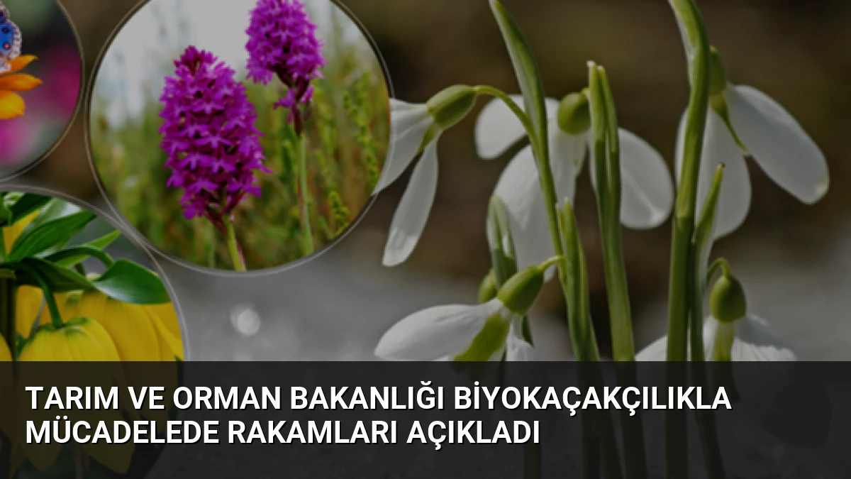 Tarım ve Orman Bakanlığı Biyokaçakçılıkla Mücadelede Rakamları Açıkladı