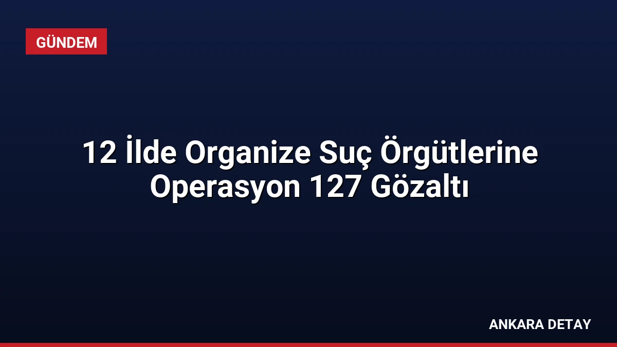 12 İlde Organize Suç Örgütlerine Operasyon 127 Gözaltı