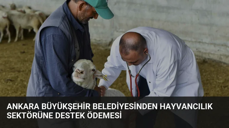 Ankara Büyükşehir Belediyesinden Hayvancılık Sektörüne Destek Ödemesi
