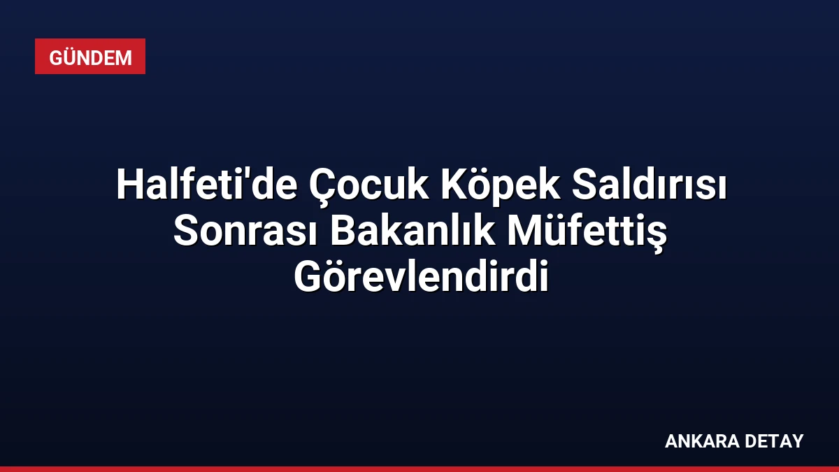 Halfeti’de Çocuk Köpek Saldırısı Sonrası Bakanlık Müfettiş Görevlendirdi