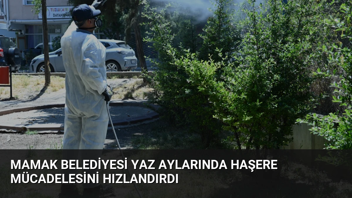 Mamak Belediyesi Yaz Aylarında Haşere Mücadelesini Hızlandırdı