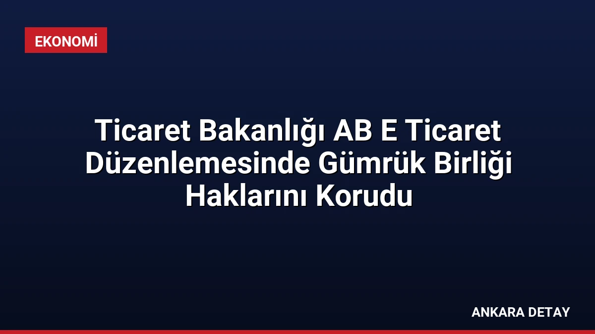 Ticaret Bakanlığı AB E Ticaret Düzenlemesinde Gümrük Birliği Haklarını Korudu