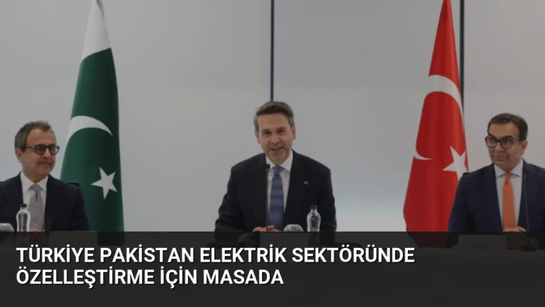 Türkiye Pakistan elektrik sektöründe özelleştirme için masada