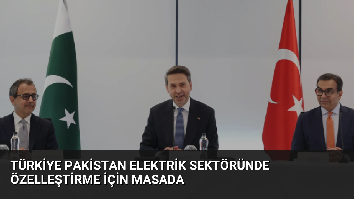 Türkiye Pakistan elektrik sektöründe özelleştirme için masada