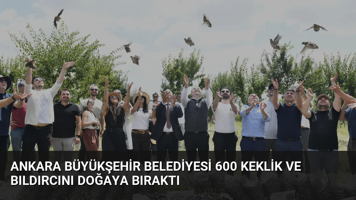 Ankara Büyükşehir Belediyesi 600 Keklik ve Bıldırcını Doğaya Bıraktı
