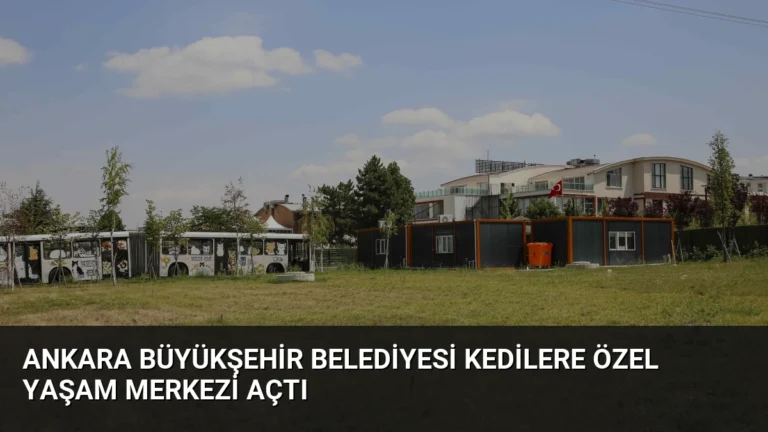 Ankara Büyükşehir Belediyesi Kedilere Özel Yaşam Merkezi Açtı