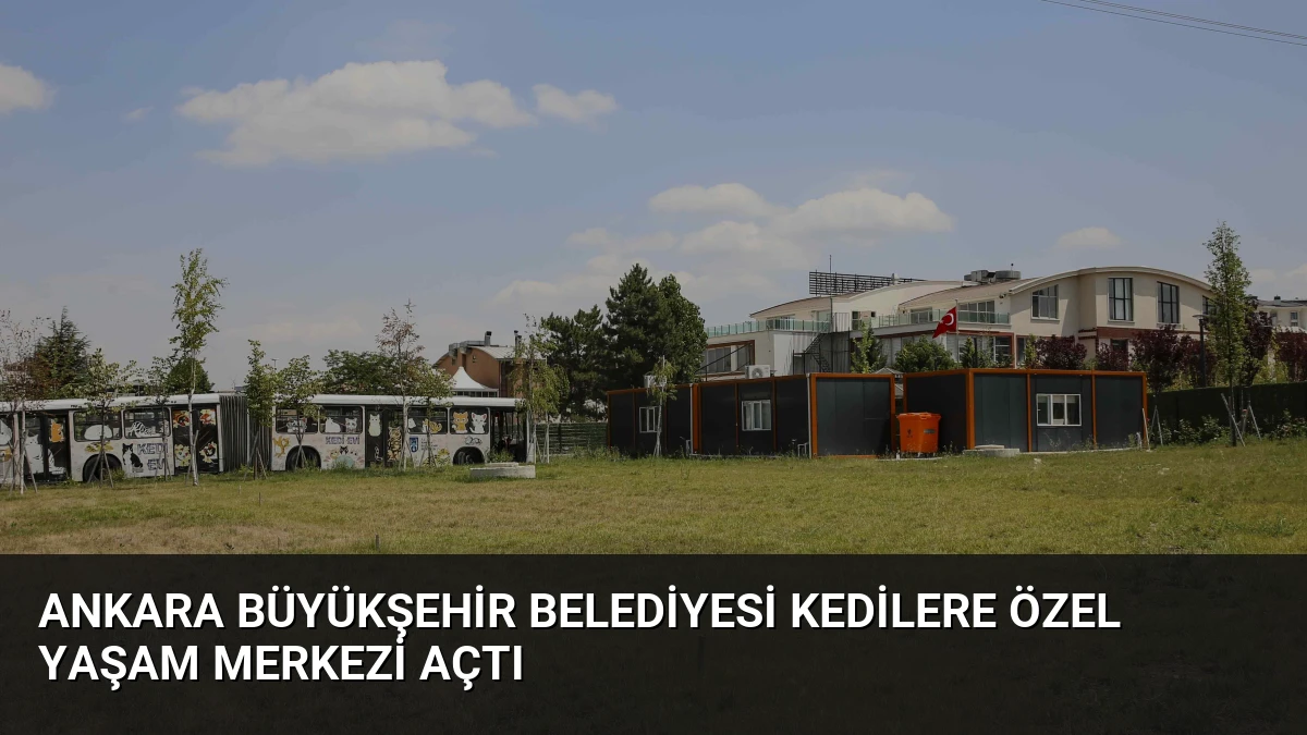 Ankara Büyükşehir Belediyesi Kedilere Özel Yaşam Merkezi Açtı