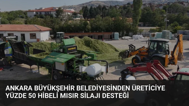 Ankara Büyükşehir Belediyesinden Üreticiye Yüzde 50 Hibeli Mısır Silajı Desteği
