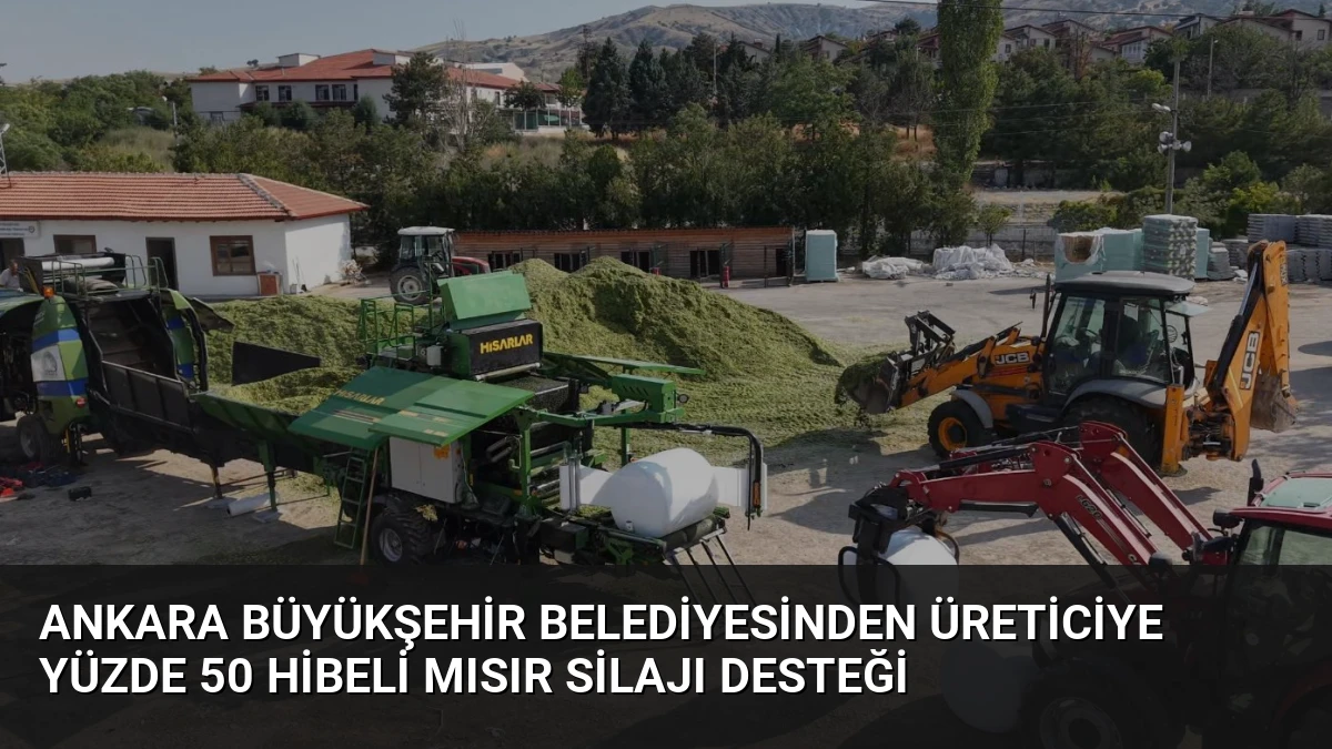 Ankara Büyükşehir Belediyesinden Üreticiye Yüzde 50 Hibeli Mısır Silajı Desteği