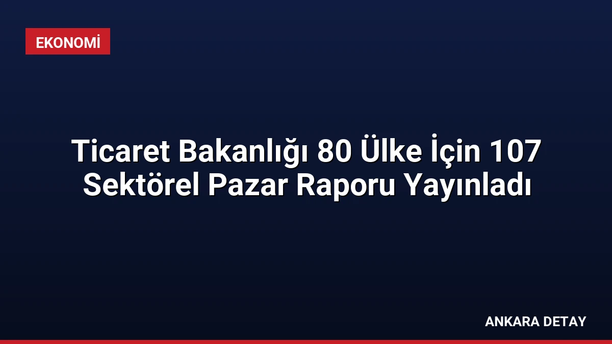 Ticaret Bakanlığı 80 Ülke İçin 107 Sektörel Pazar Raporu Yayınladı