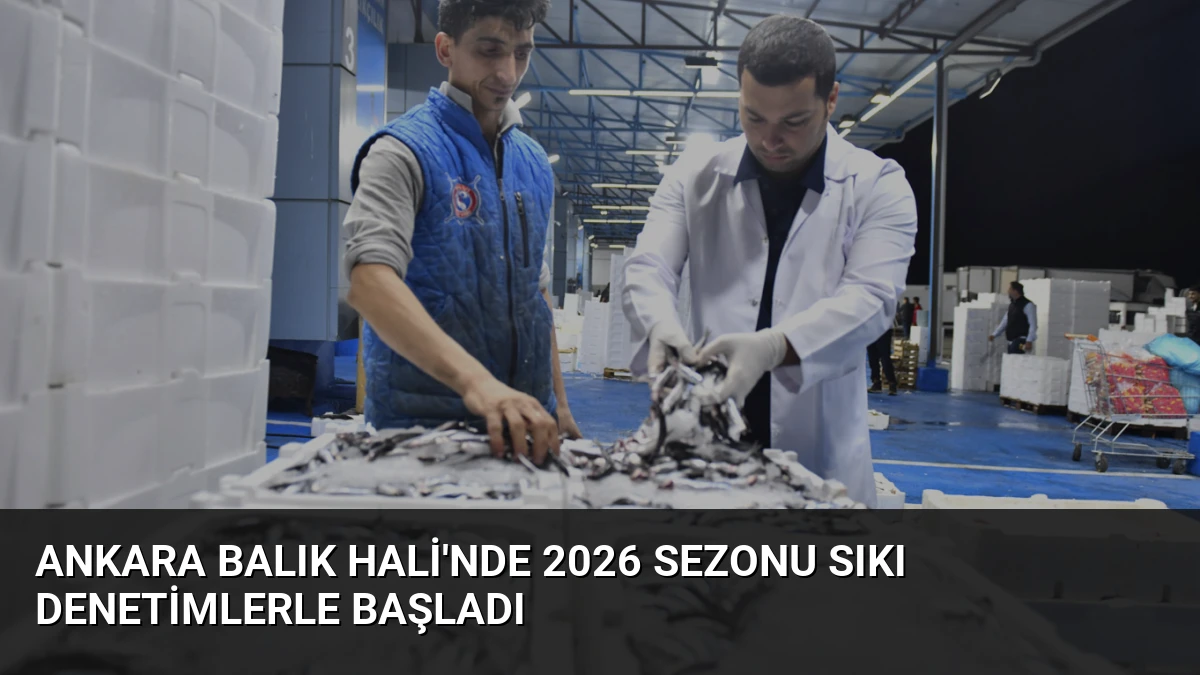 Ankara Balık Hali’nde 2026 Sezonu Sıkı Denetimlerle Başladı