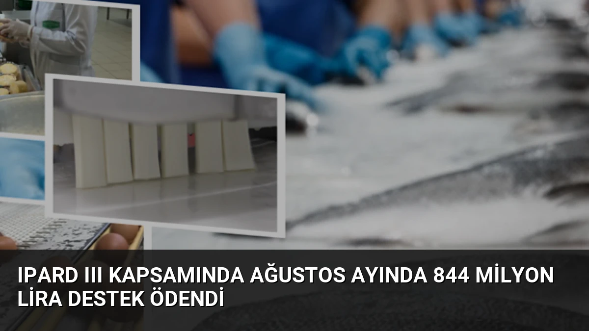 IPARD III Kapsamında Ağustos Ayında 844 Milyon Lira Destek Ödendi