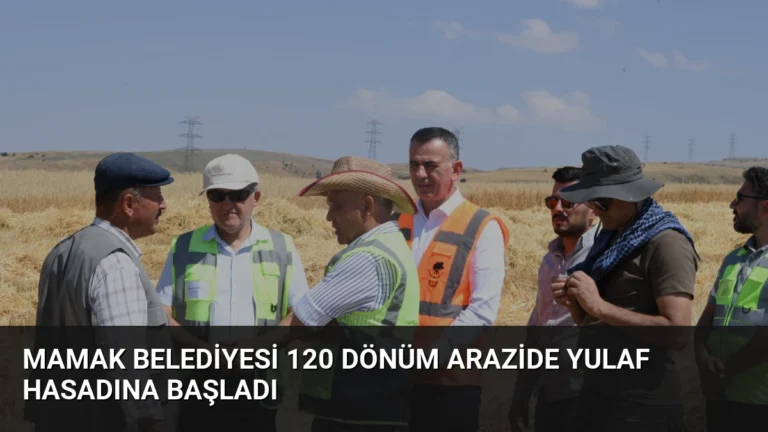 Mamak Belediyesi 120 Dönüm Arazide Yulaf Hasadına Başladı