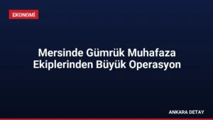 Mersinde Gümrük Muhafaza Ekiplerinden Büyük Operasyon
