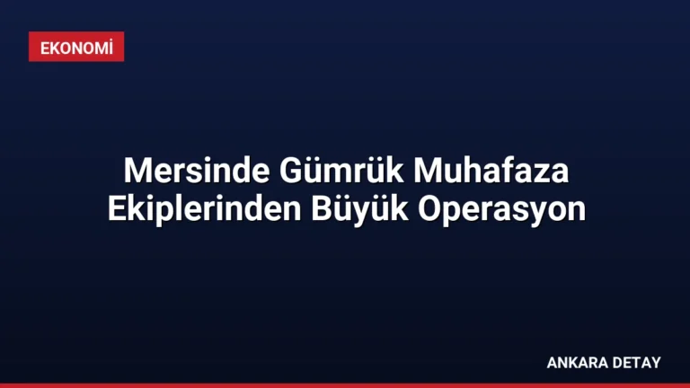 Mersinde Gümrük Muhafaza Ekiplerinden Büyük Operasyon