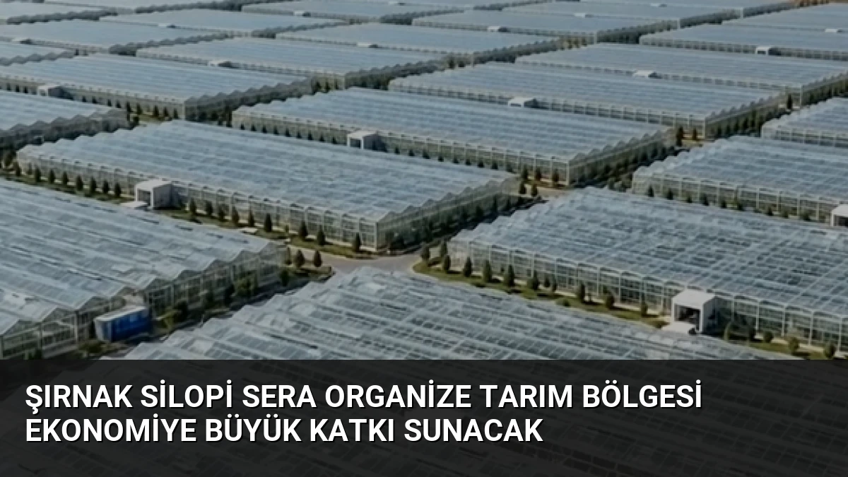 Şırnak Silopi Sera Organize Tarım Bölgesi Ekonomiye Büyük Katkı Sunacak