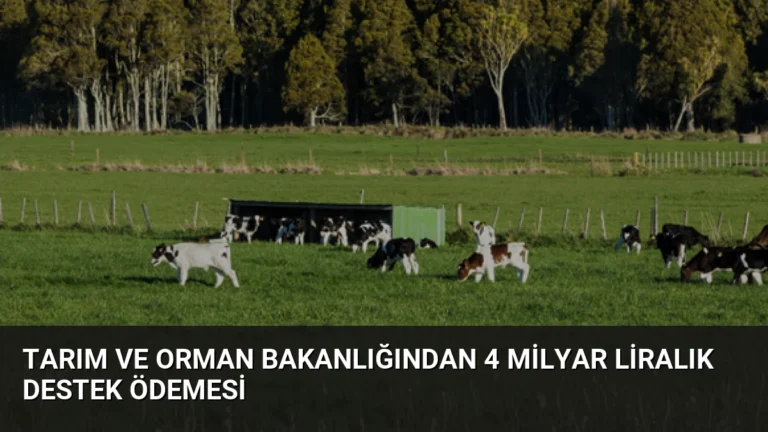 Tarım ve Orman Bakanlığından 4 Milyar Liralık Destek Ödemesi