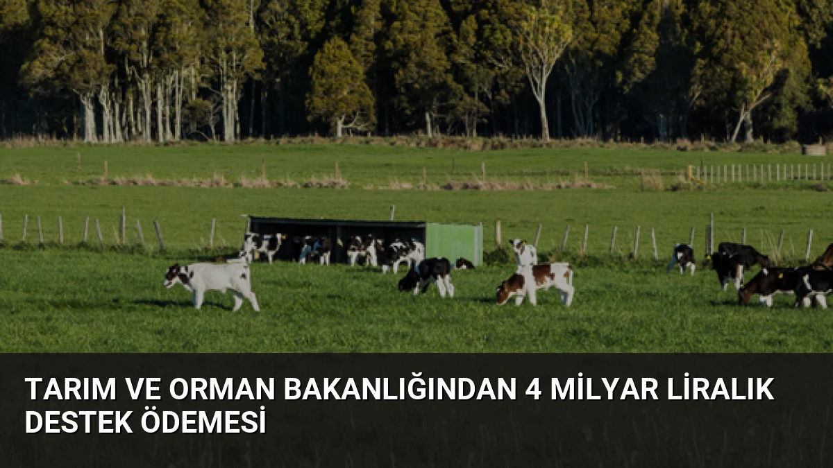 Tarım ve Orman Bakanlığından 4 Milyar Liralık Destek Ödemesi