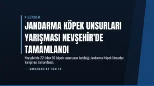 Jandarma Köpek Unsurları Yarışması Nevşehir'de Tamamlandı