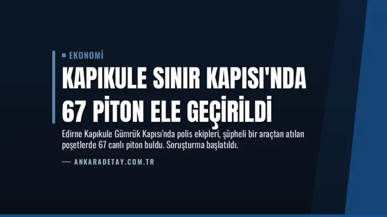 Kapıkule Sınır Kapısı’nda 67 Piton Ele Geçirildi